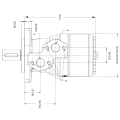 MOTOR WHITE OMRX-250 COD:11186667 EJE Ø25mm TOMAS LATERALES